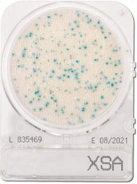 Đĩa Compact Dry kiểm tra Staphylococcus Aureus X-SA - Nissui Nhật